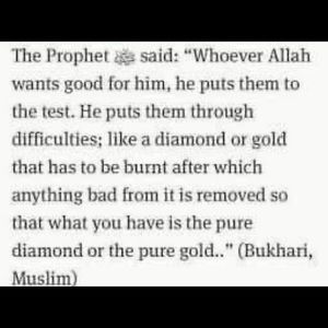 Meet your Posher, Basheem